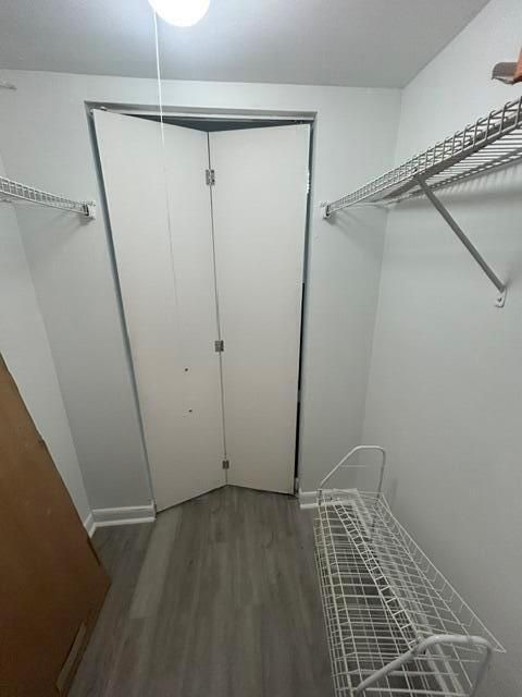 image5 (10)