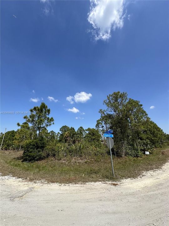 For Sale: $24,000 (0.25 acres)