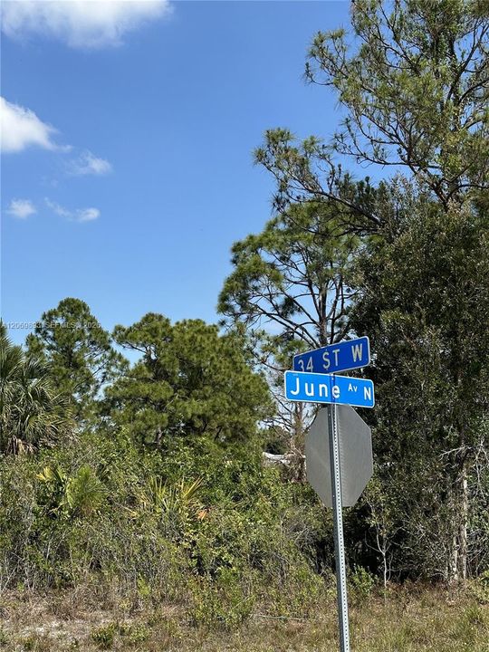 For Sale: $24,000 (0.25 acres)
