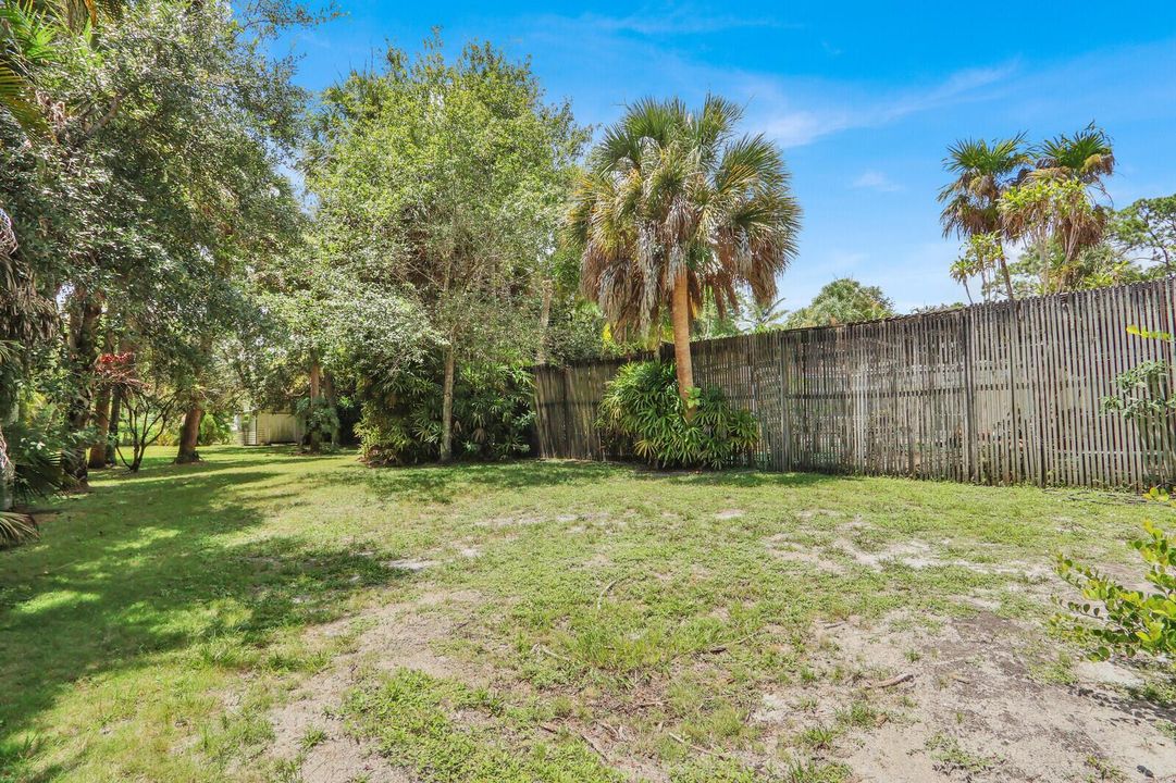 Backyard