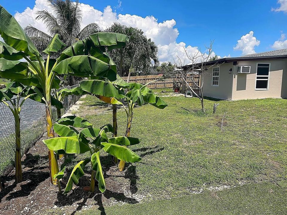 For Rent: $3,800 (4 beds, 2 baths, 2115 Square Feet)