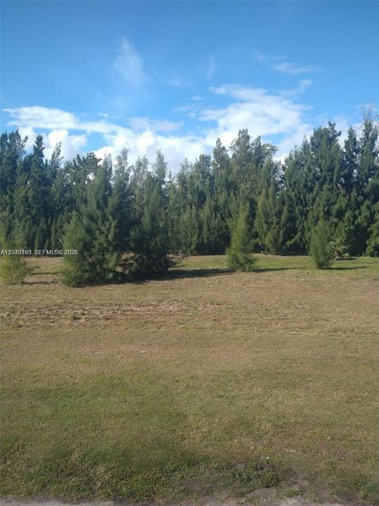 На продажу: $175,000 (1 спален, 1 ванн, 494 Квадратных фут)