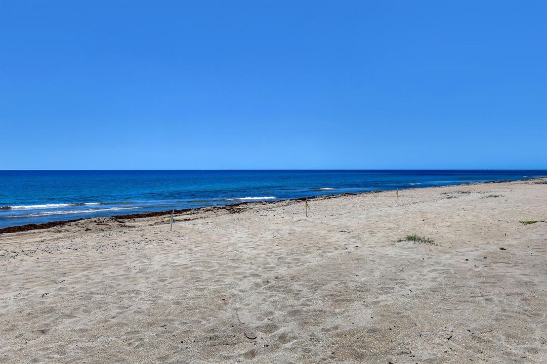 3221 S Ocean #302 (37)