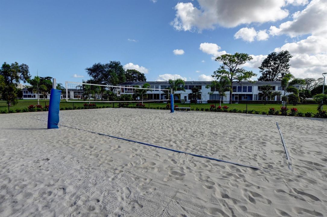 Volleyball