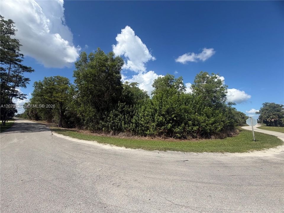 En Venta: $585,000 (5.01 acres)