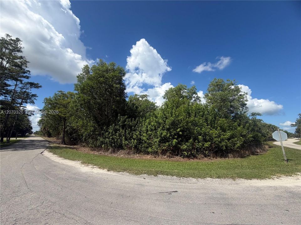 En Venta: $585,000 (5.01 acres)