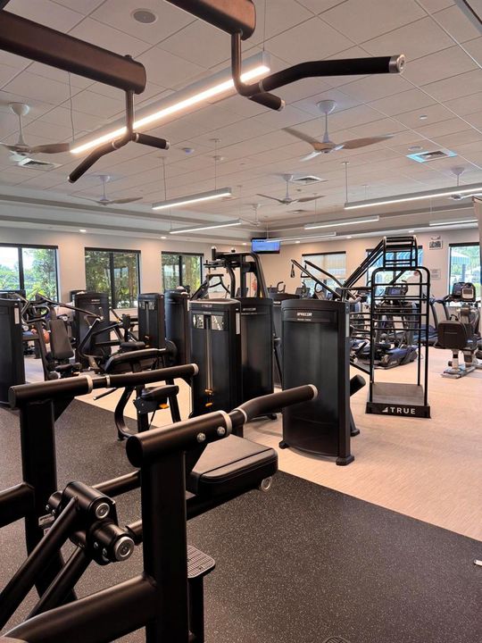 fitness