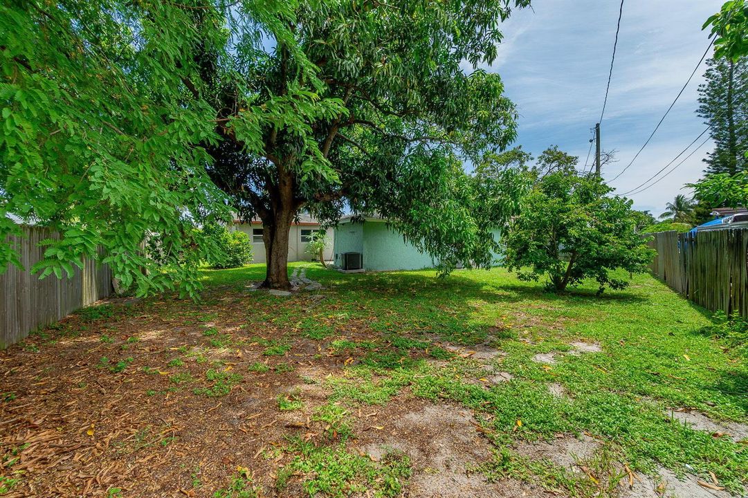 Back Yard