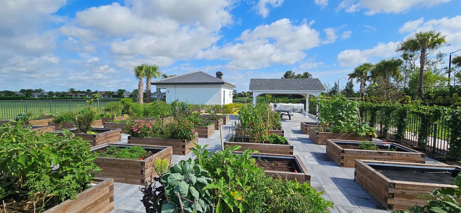 Valencia At Riverland Garden Boxes