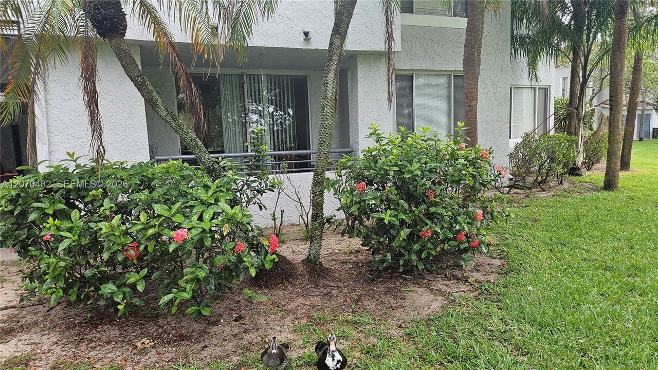 For Sale: $235,000 (2 beds, 1 baths, 920 Square Feet)