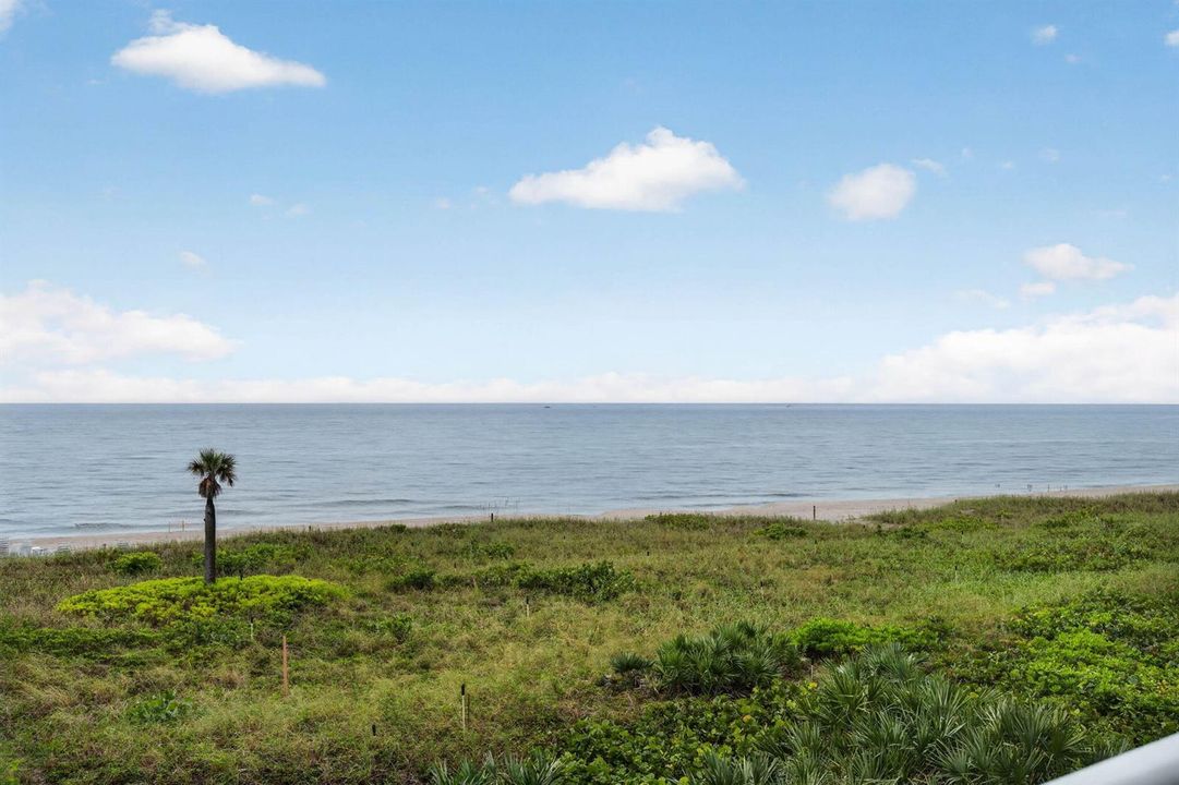 Ocean Views