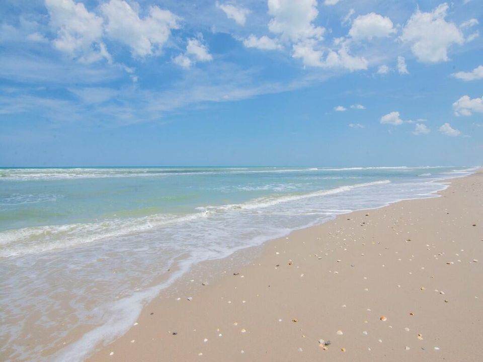 Image00002
