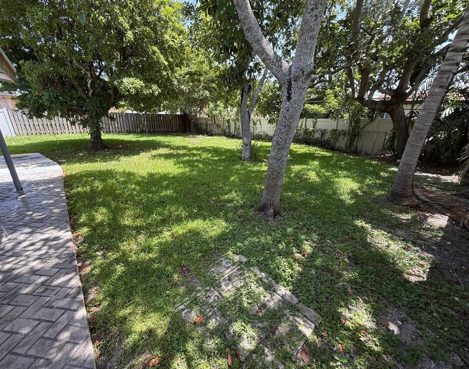Backyard