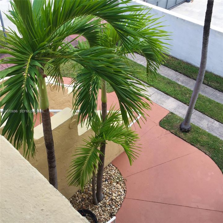 For Rent: $2,200 (1 beds, 1 baths, 500 Square Feet)