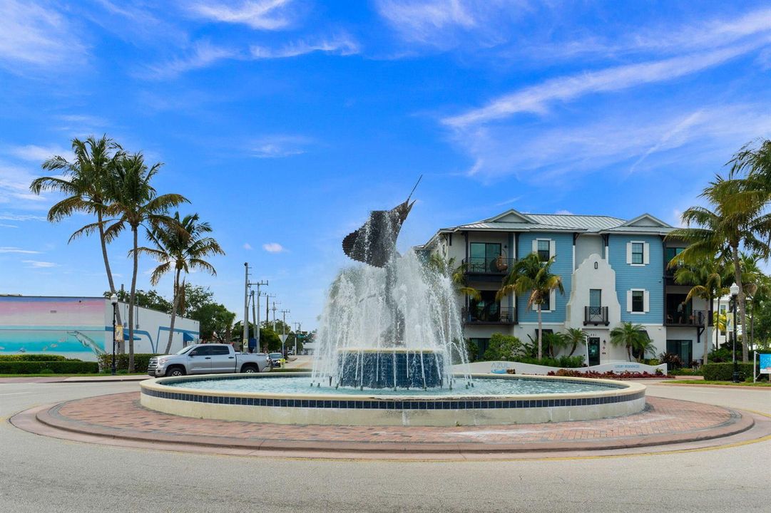 52-web-or-mls-_dsc4116