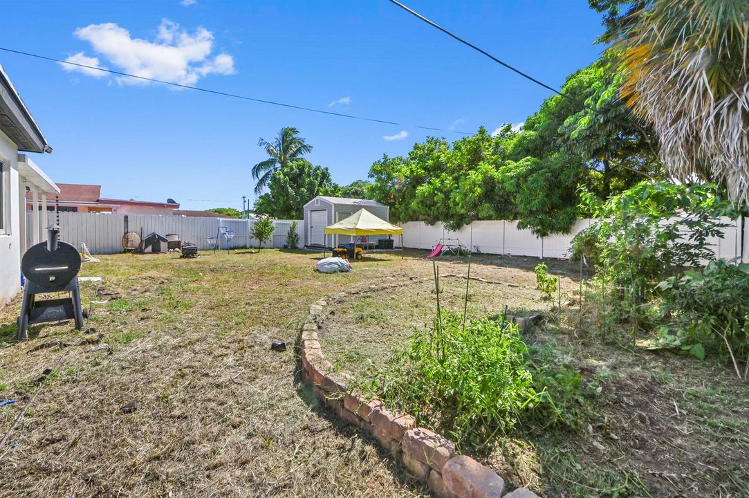25 backyard 02