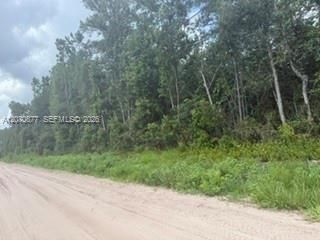 En Venta: $329,000 (10.00 acres)