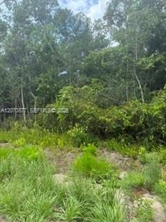 En Venta: $329,000 (10.00 acres)