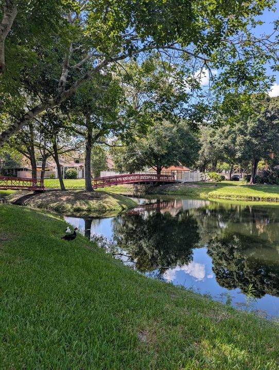 For Rent: $2,700 (3 beds, 2 baths, 1336 Square Feet)