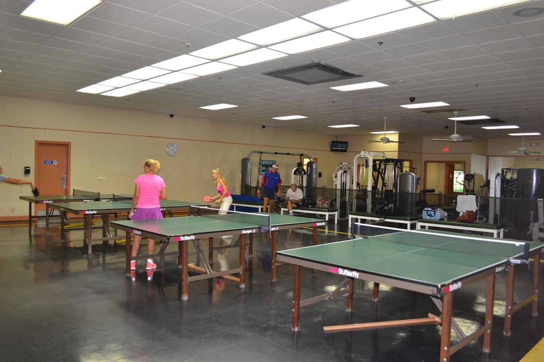 Ping Pong