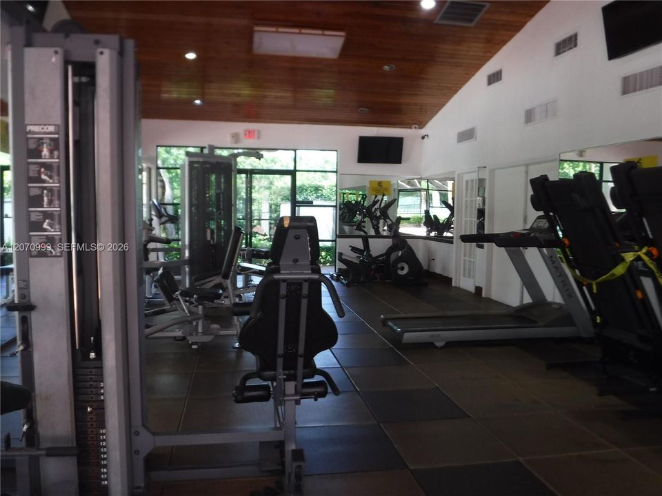 Wild Lime Gym