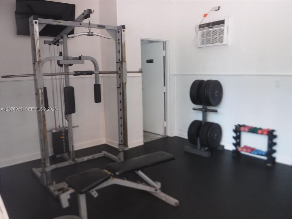 Wild Lime Gym
