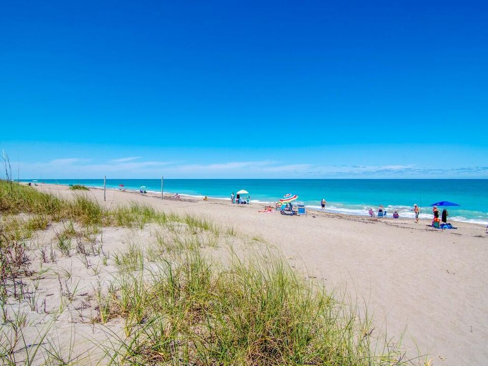 Beach
