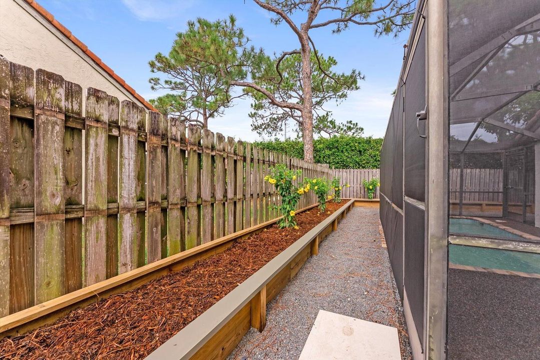 Side Yard
