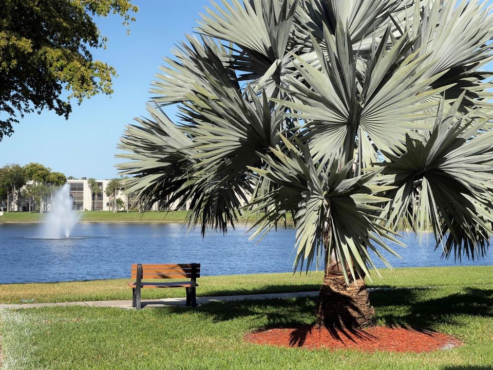 Lake Path