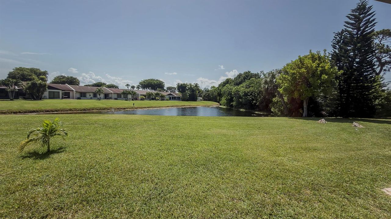 Backyard Water View