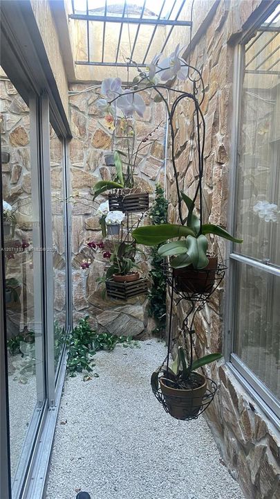 Inside Garden
