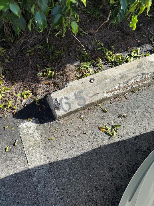 Parking Space 65