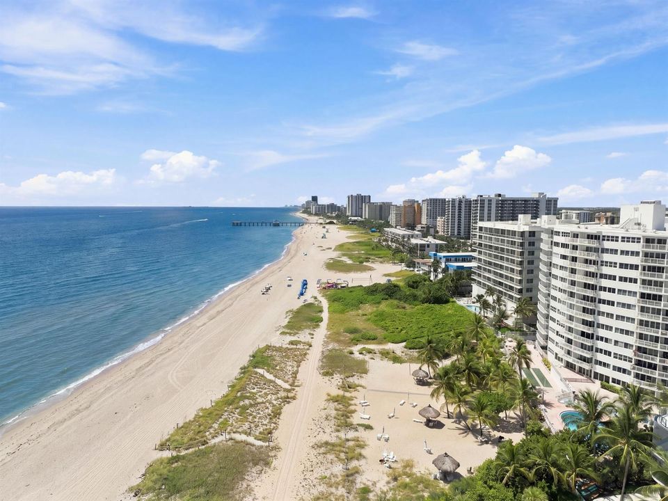 pompano_001(6)