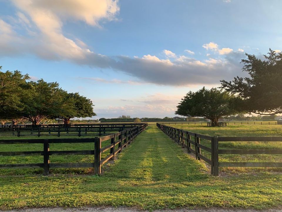 Paddocks