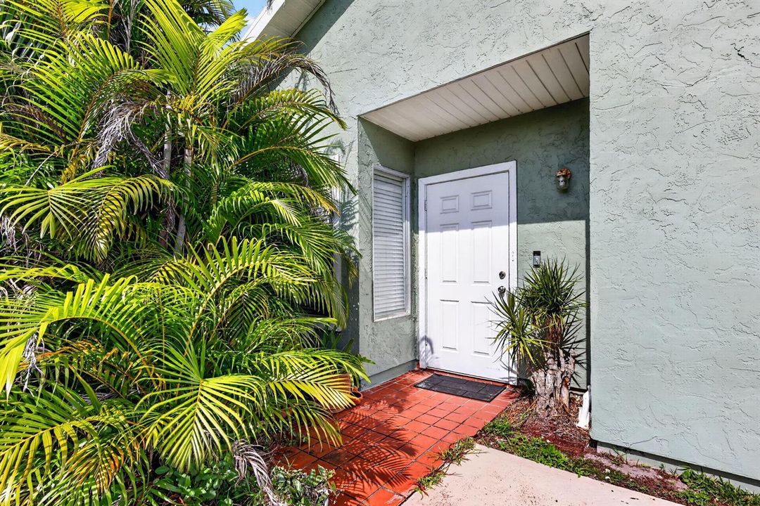 5-web-or-mls-5P1A6449