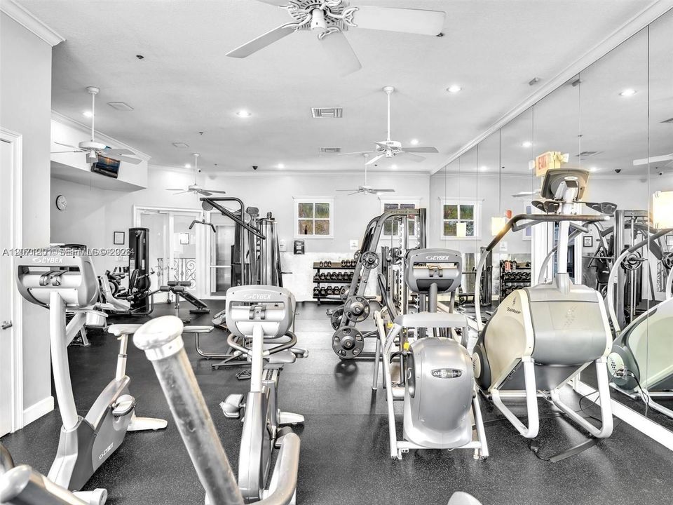 Great gym, and well maintained.