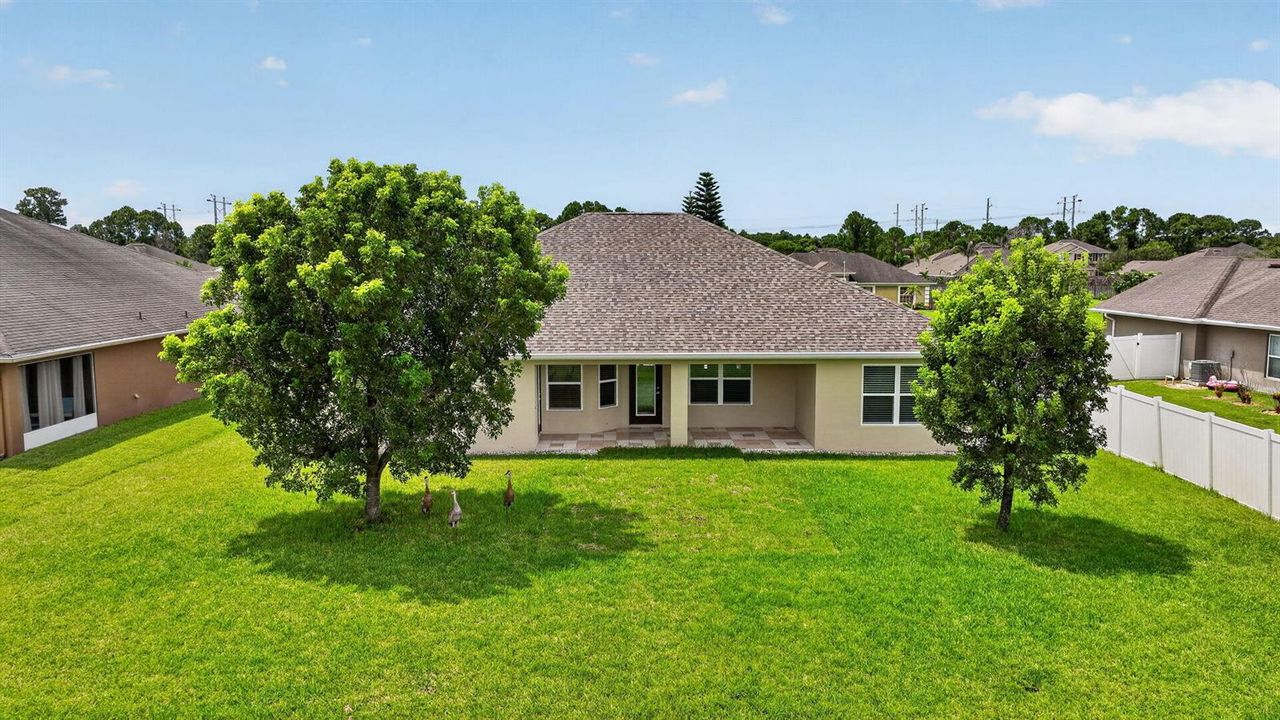 55-web-or-mls-DJI_0816