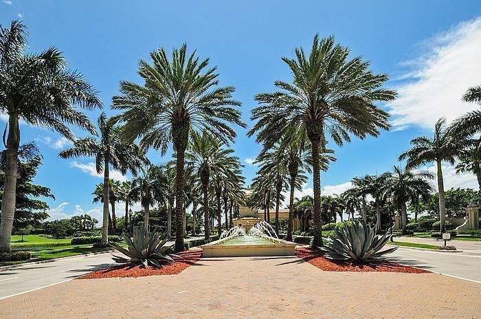 Valencia Palms