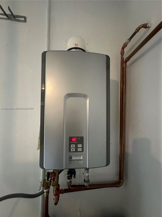 Tankless, gas water heater