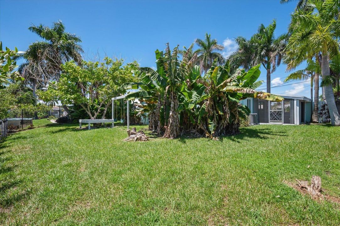 SE corner of back yard looking at home