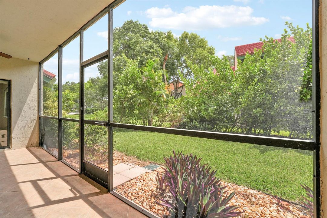 Garden Patio View
