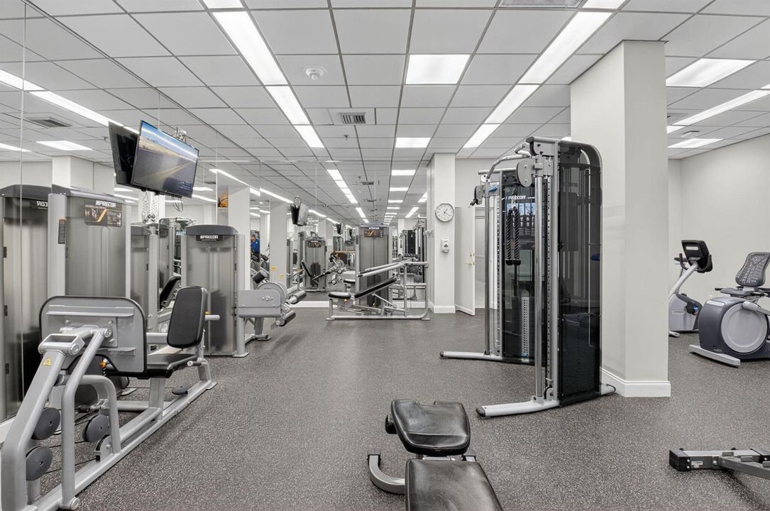 Gym 3