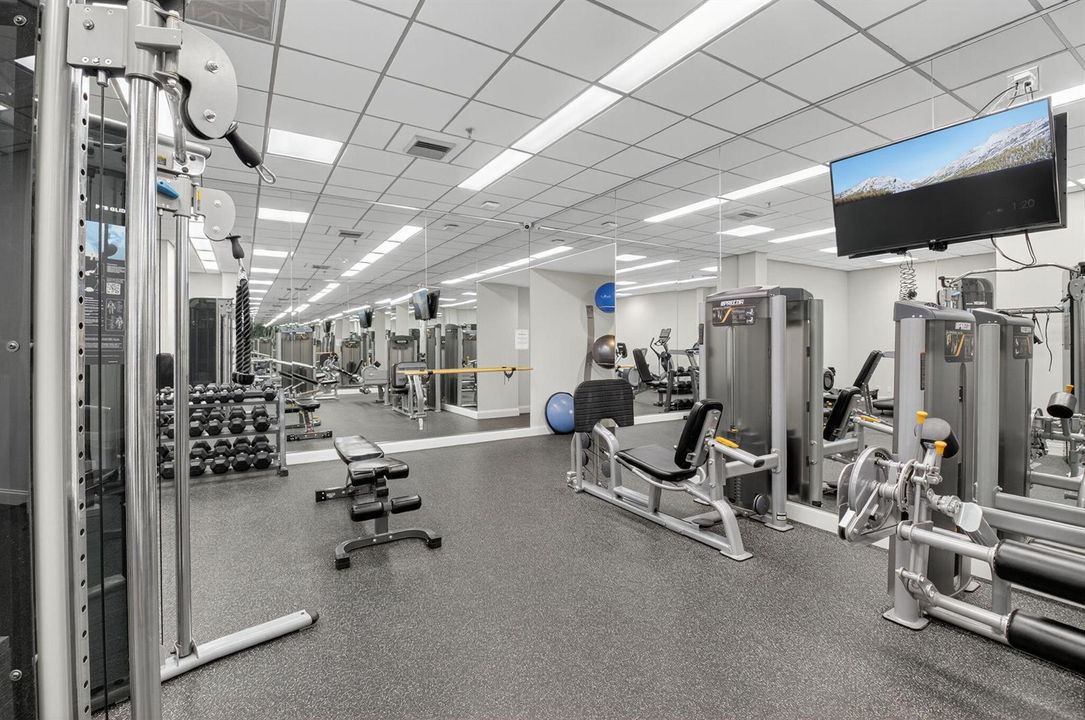 More Gym