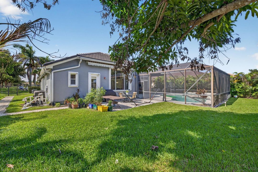 Back yard