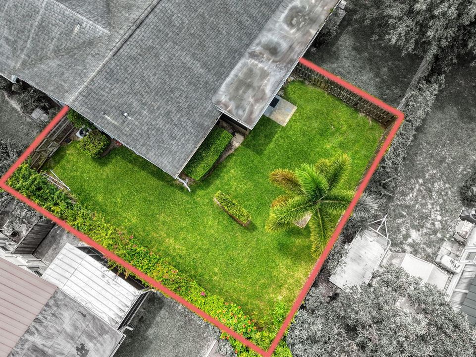 11 Backyard (1)