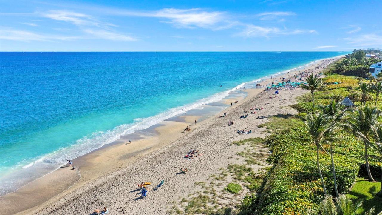 Prestine Jupiter Beaches