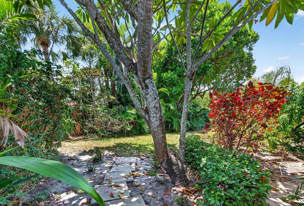 47-web-or-mls-699A9462