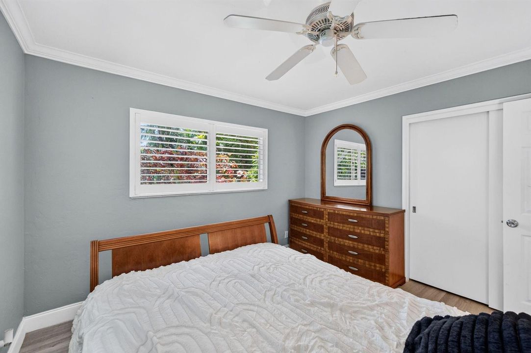 30-web-or-mls-699A9231
