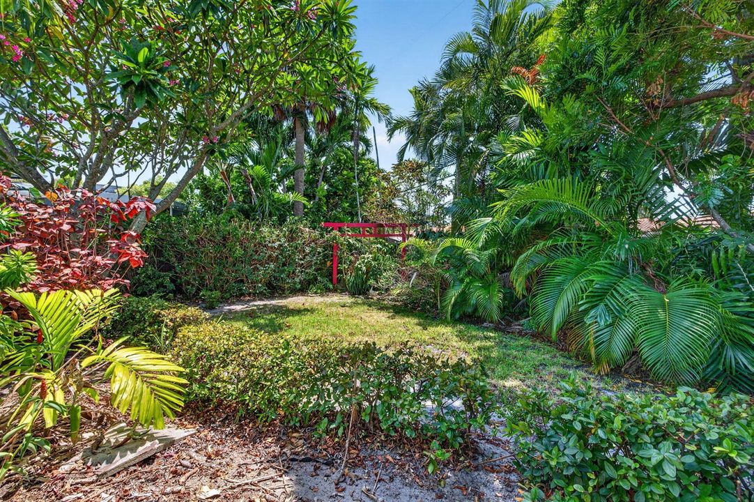 45-web-or-mls-699A9446