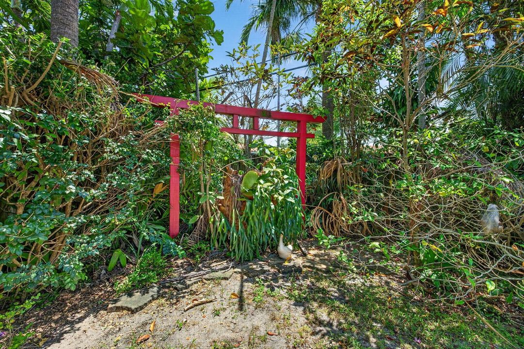 50-web-or-mls-699A9491